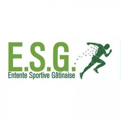 Logo Entente Sportive Gâtinaise