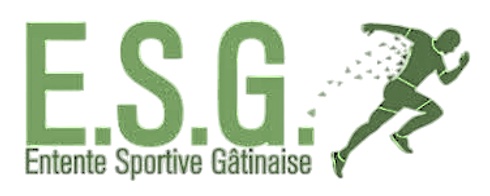 Logo Entente Sportive Gâtinaise
